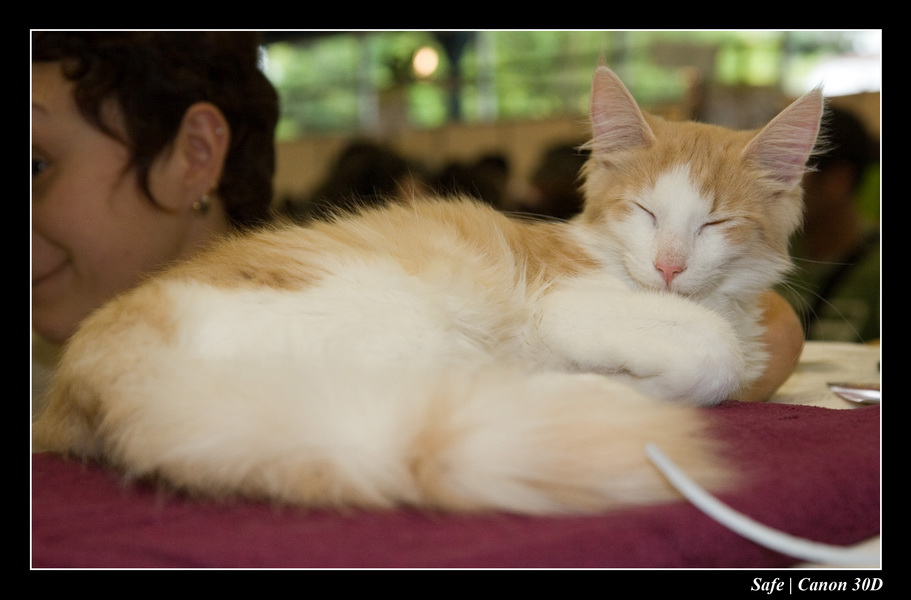 Sep 06 - Salon des animaux de compagnies - 28